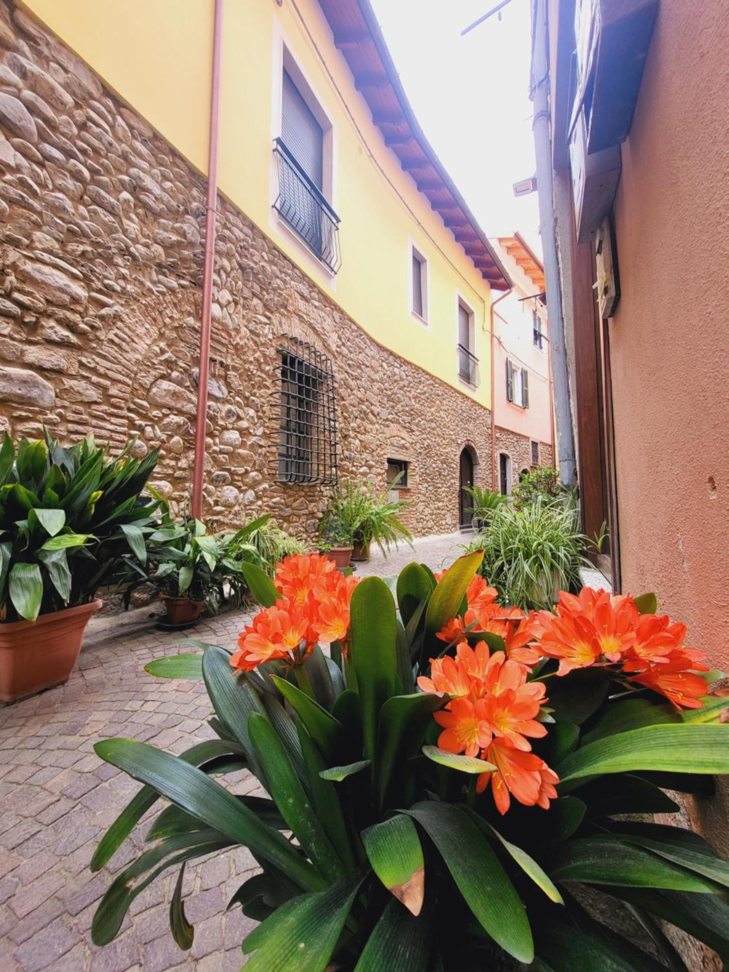 Salvia E Rosmarino - Affittacamere In Liguria Villanova d'Albenga Luaran gambar